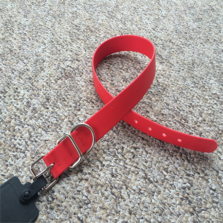 Standard dog collar PVC with metal roller buckle 1 inch wide