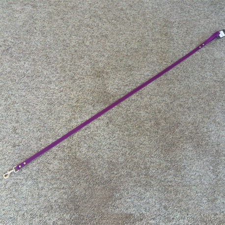 Purple custom handmade dog leash in TPU coated nylon