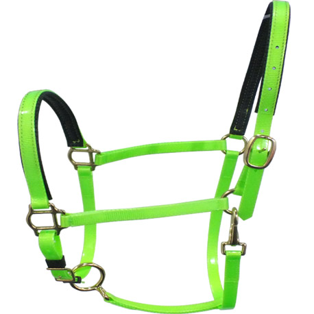 horse halters for sale