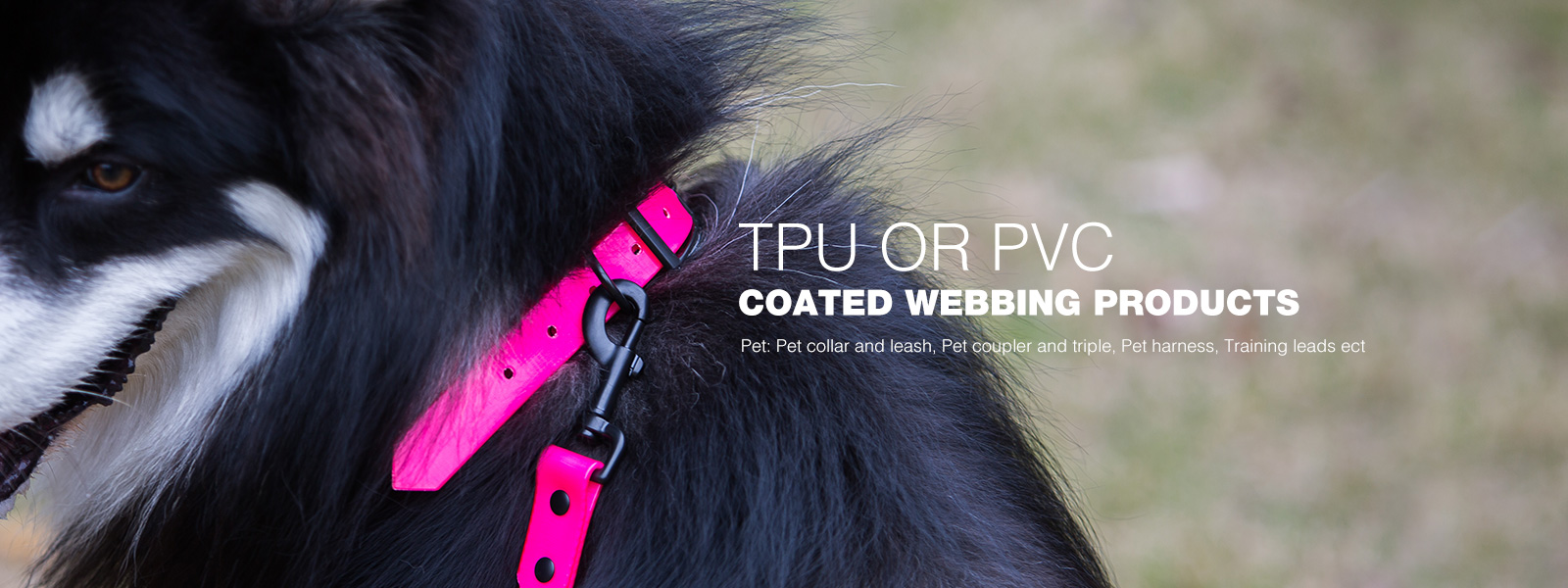 Solid Color TPU Collars