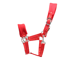 soft padding nylon halter with brass hardware in red